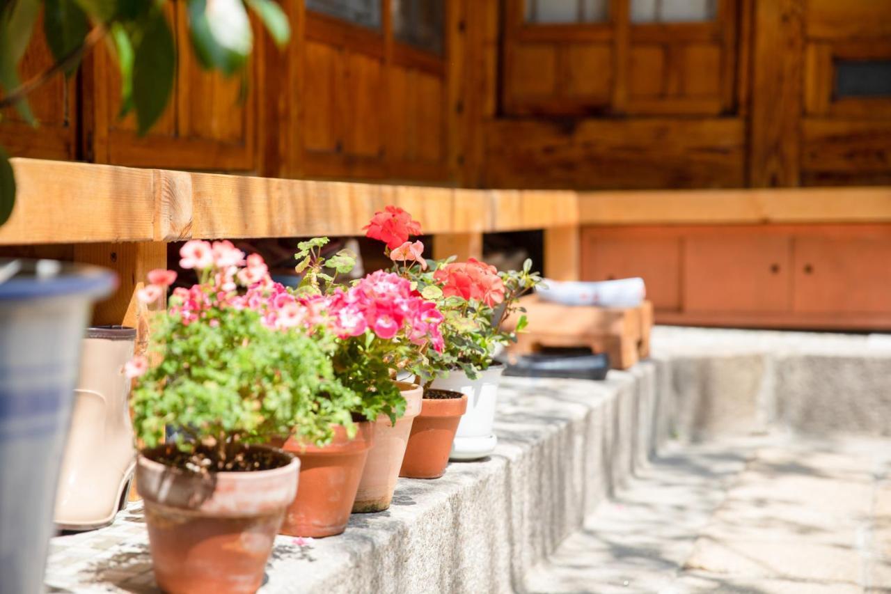 Dongmyo Hanok Sihwadang - Private Korean Style House In The Center With A Beautiful Garden *